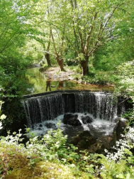 Fotos de la primavera enviadas por los lectores de diariodenavarra.es