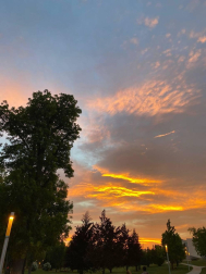 Fotos de la primavera enviadas por los lectores de diariodenavarra.es