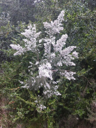 Fotos de la primavera enviadas por los lectores de diariodenavarra.es