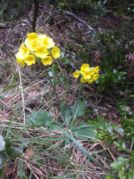 Fotos de la primavera enviadas por los lectores de diariodenavarra.es