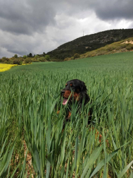 Fotos de la primavera enviadas por los lectores de diariodenavarra.es