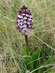 Fotos de la primavera enviadas por los lectores de diariodenavarra.es