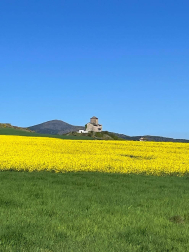 Fotos de la primavera enviadas por los lectores de diariodenavarra.es