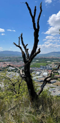 Fotos de la primavera enviadas por los lectores de diariodenavarra.es