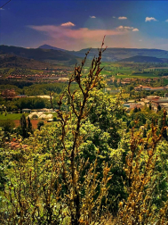 Fotos de la primavera enviadas por los lectores de diariodenavarra.es