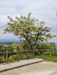Fotos de la primavera enviadas por los lectores de diariodenavarra.es