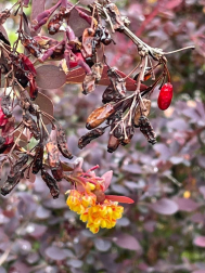 Fotos de la primavera enviadas por los lectores de diariodenavarra.es