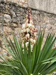 Fotos de la primavera enviadas por los lectores de diariodenavarra.es