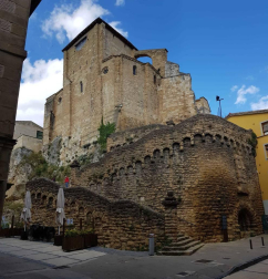 Fotos de la primavera enviadas por los lectores de diariodenavarra.es