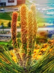 Fotos de la primavera enviadas por los lectores de diariodenavarra.es