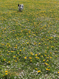 Fotos de la primavera enviadas por los lectores de diariodenavarra.es
