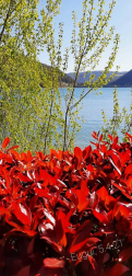 Fotos de la primavera enviadas por los lectores de diariodenavarra.es