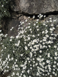 Fotos de la primavera enviadas por los lectores de diariodenavarra.es