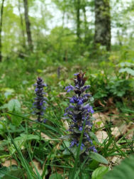 Fotos de la primavera enviadas por los lectores de diariodenavarra.es