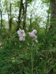 Fotos de la primavera enviadas por los lectores de diariodenavarra.es