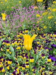 Fotos de la primavera enviadas por los lectores de diariodenavarra.es
