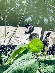 Fotos de la primavera enviadas por los lectores de diariodenavarra.es