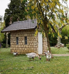 Fotos de la primavera enviadas por los lectores de diariodenavarra.es