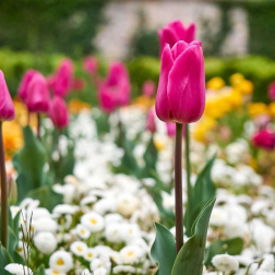 Fotos de la primavera enviadas por los lectores de diariodenavarra.es