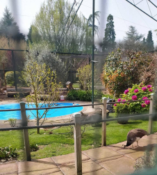 Fotos de la primavera enviadas por los lectores de diariodenavarra.es