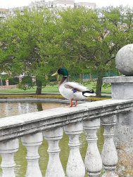 Fotos de la primavera enviadas por los lectores de diariodenavarra.es