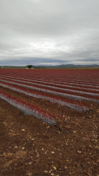 Fotos de la primavera enviadas por los lectores de diariodenavarra.es