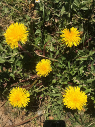 Fotos de la primavera enviadas por los lectores de diariodenavarra.es