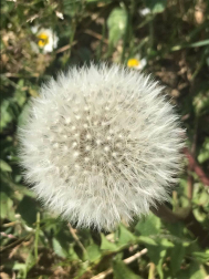 Fotos de la primavera enviadas por los lectores de diariodenavarra.es