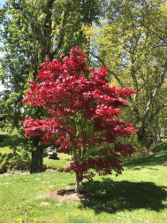 Fotos de la primavera enviadas por los lectores de diariodenavarra.es