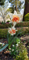 Fotos de la primavera enviadas por los lectores de diariodenavarra.es