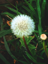 Fotos de la primavera enviadas por los lectores de diariodenavarra.es