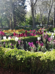 Fotos de la primavera enviadas por los lectores de diariodenavarra.es