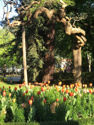 Fotos de la primavera enviadas por los lectores de diariodenavarra.es