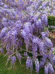 Fotos de la primavera enviadas por los lectores de diariodenavarra.es