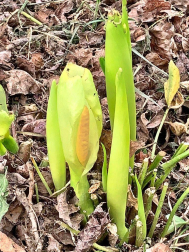 Fotos de la primavera enviadas por los lectores de diariodenavarra.es