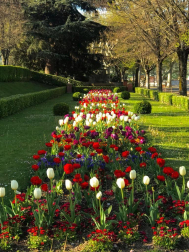 Fotos de la primavera enviadas por los lectores de diariodenavarra.es
