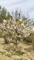 Fotos de la primavera enviadas por los lectores de diariodenavarra.es