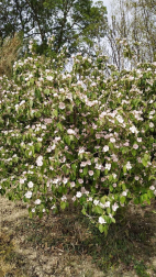 Fotos de la primavera enviadas por los lectores de diariodenavarra.es