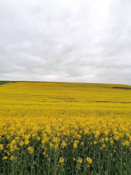 Fotos de la primavera enviadas por los lectores de diariodenavarra.es