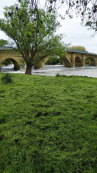 Fotos de la primavera enviadas por los lectores de diariodenavarra.es