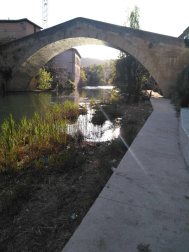 Fotos de la primavera enviadas por los lectores de diariodenavarra.es