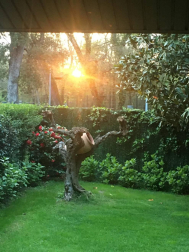 Fotos de la primavera enviadas por los lectores de diariodenavarra.es