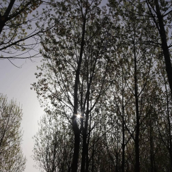 Fotos de la primavera enviadas por los lectores de diariodenavarra.es