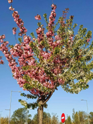 Fotos de la primavera enviadas por los lectores de diariodenavarra.es