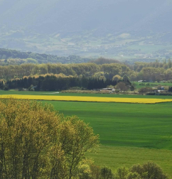 Fotos de la primavera enviadas por los lectores de diariodenavarra.es