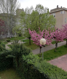 Fotos de la primavera enviadas por los lectores de diariodenavarra.es