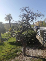 Fotos de la primavera enviadas por los lectores de diariodenavarra.es