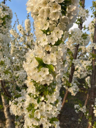 Fotos de la primavera enviadas por los lectores de diariodenavarra.es