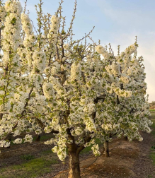 Fotos de la primavera enviadas por los lectores de diariodenavarra.es
