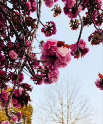 Fotos de la primavera enviadas por los lectores de diariodenavarra.es